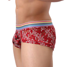 Load image into Gallery viewer, Men Sexy Soft See-through Lace Multicolor Belt Boxer Brief Underwear Underpants - provenclothes