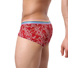Load image into Gallery viewer, Men Sexy Soft See-through Lace Multicolor Belt Boxer Brief Underwear Underpants - provenclothes