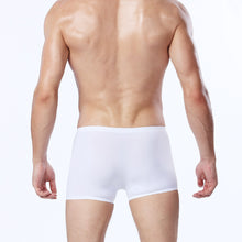 Load image into Gallery viewer, Men Ultra-thin Translucent Breathable Shorts Underpants Underwear Boxers Briefs - provenclothes